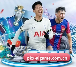 pkx-aigame.com.cn的故事 - ayx.com